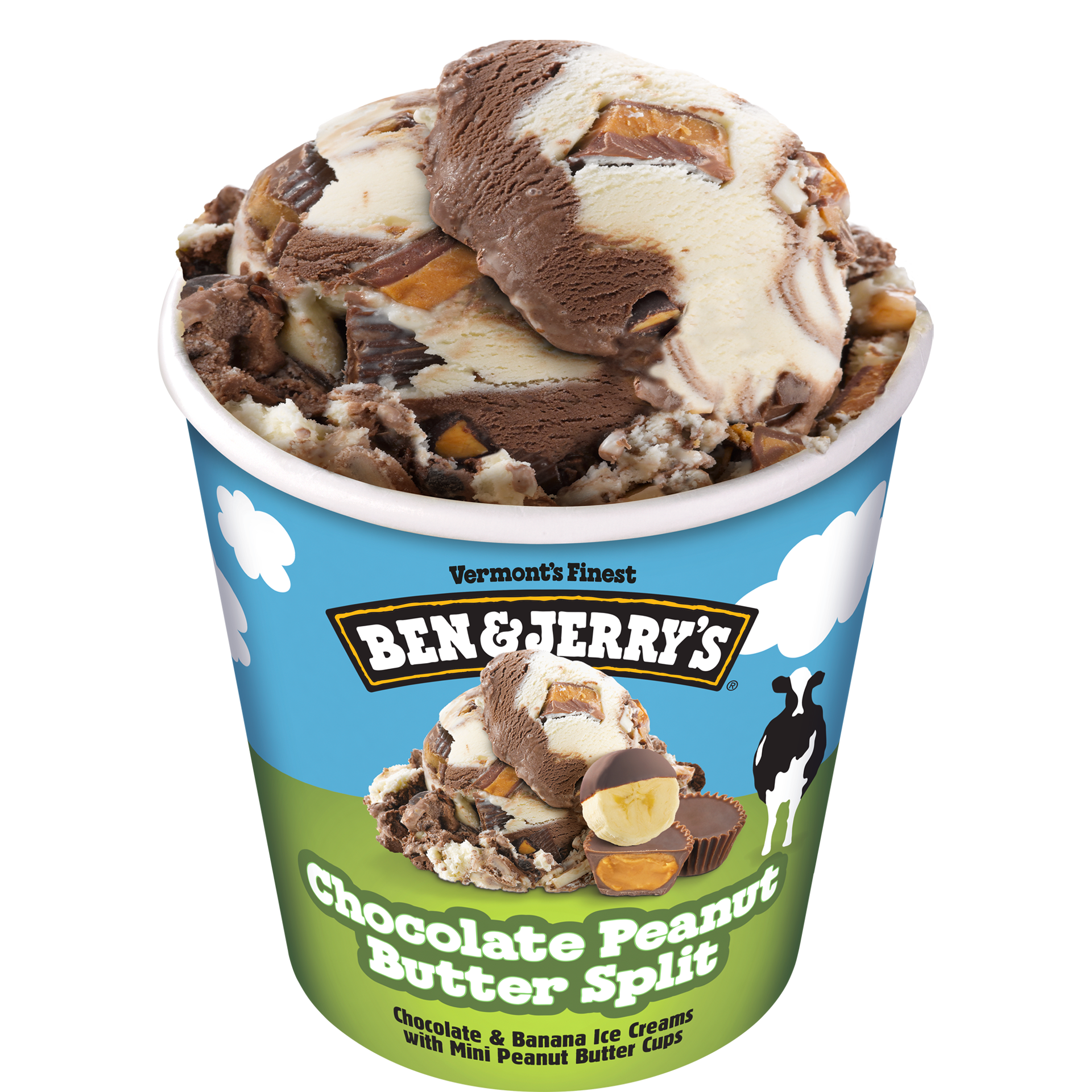 Ben and jerry's peanut butter hot sale